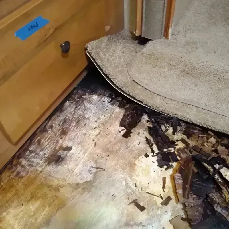 Wood Floor Water Damage in Marion, AL